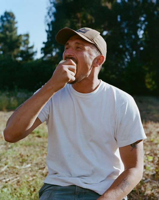 Sparkling Apple Juice (2x 750ml Bottle)