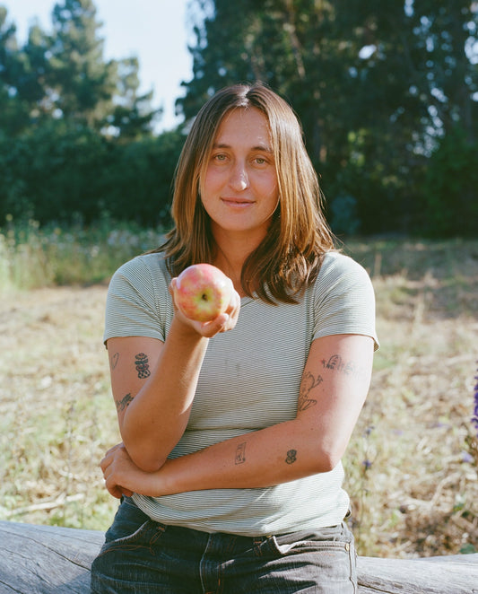 Mixed Still & Sparkling Apple Juice (16-pack)