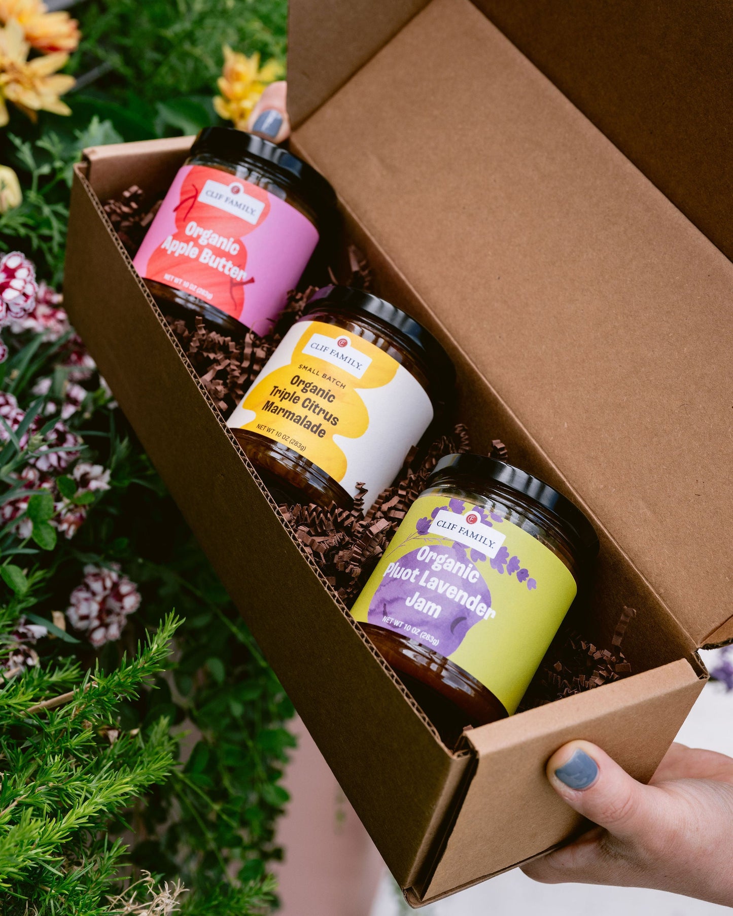 Breakfast Bliss Trio – Organic Marmalade, Jam & Apple Butter for Morning Spreads – 3 Pack