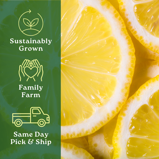 California Eureka Lemon Harvest Box – Handpicked Citrus, Farm Fresh Flavor – (1 Box)