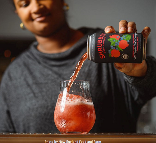 Organic Sparkling Pomegranate Aronia Drink – Antioxidant-Rich, Low Sugar Honey & Cardamom Beverage – 12 Cans