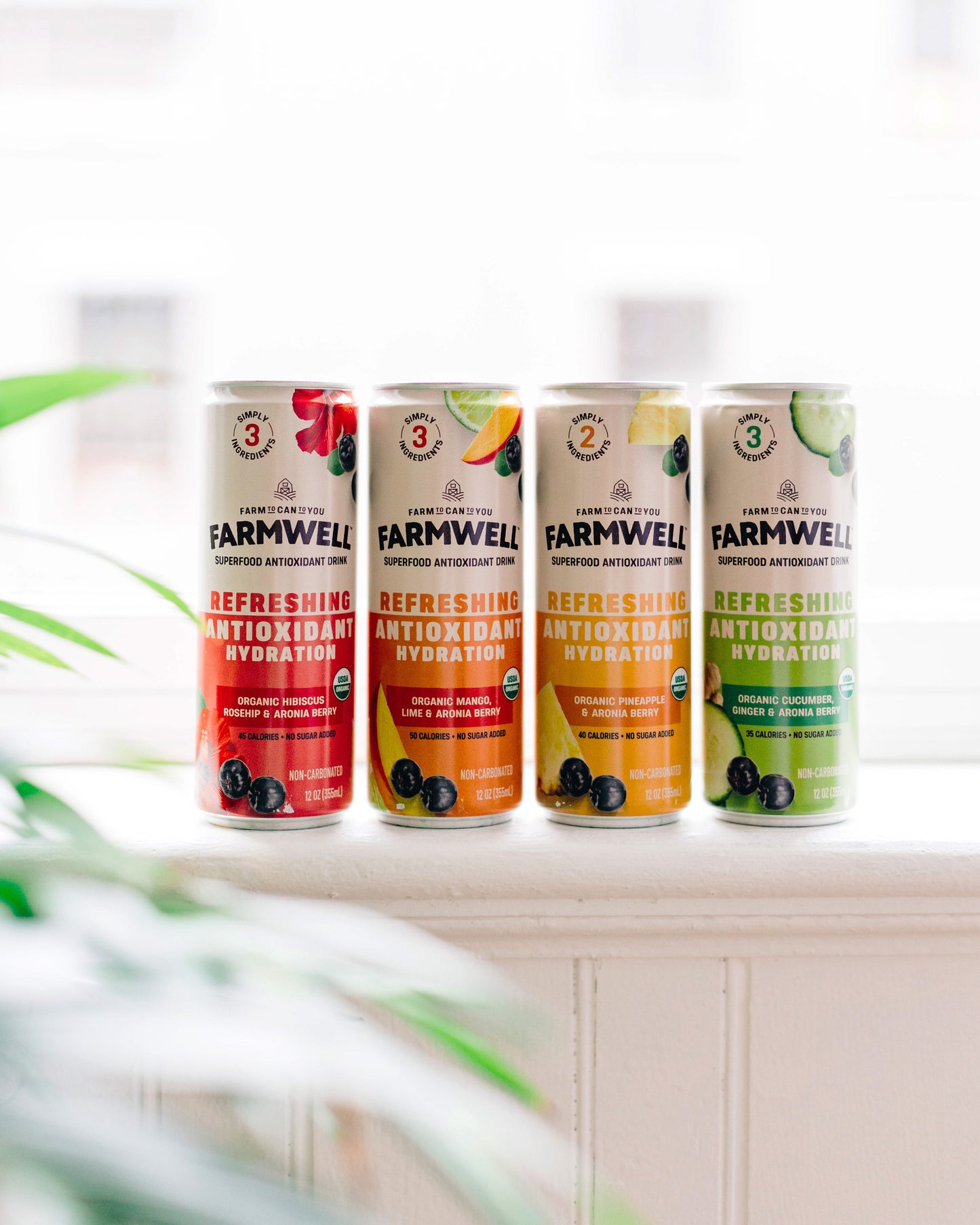 Antioxidant-Rich Drink Variety Pack – Clean, Crisp Flavors for Everyday Hydration – 12 Cans