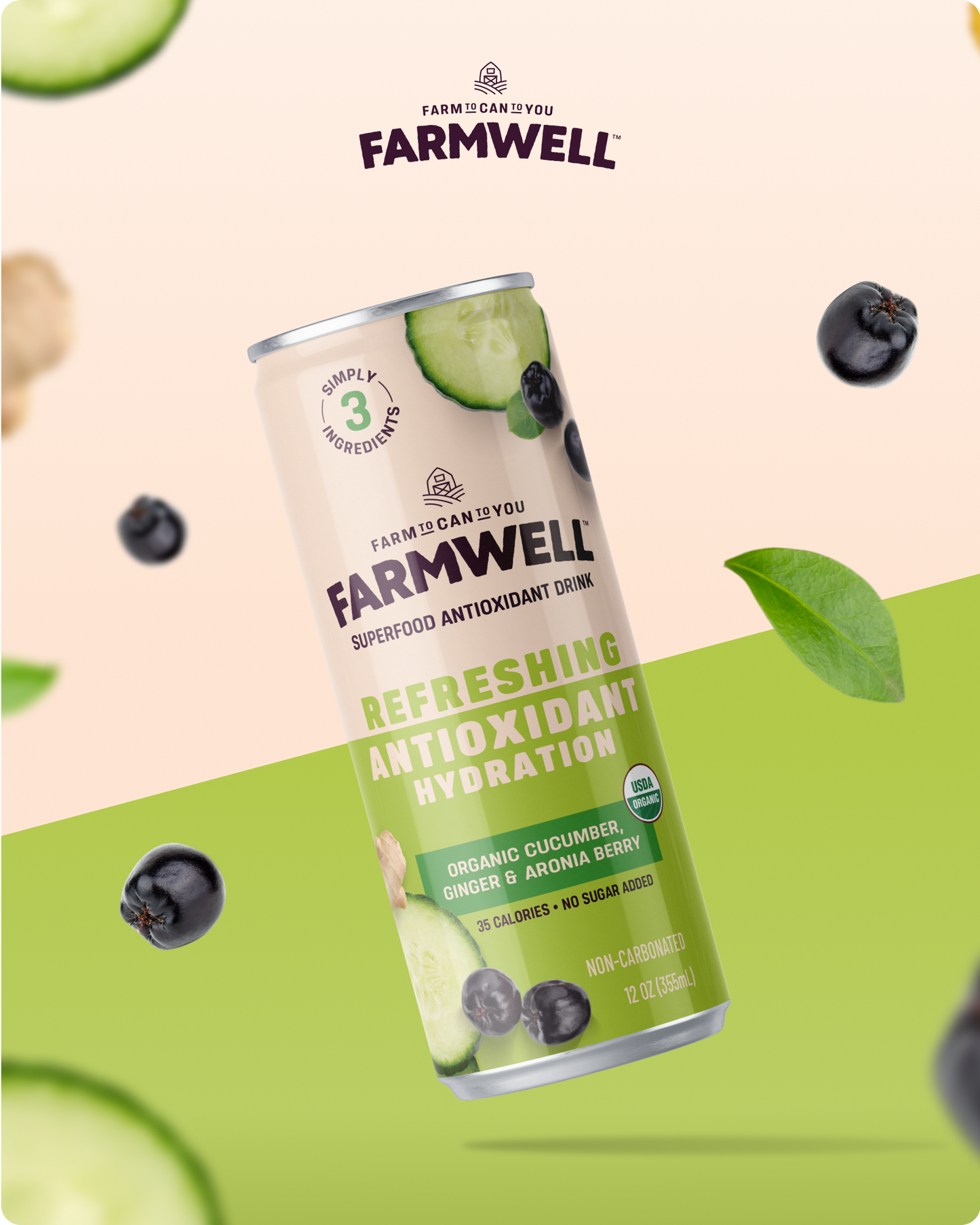 Organic Cucumber, Ginger, and Aronia