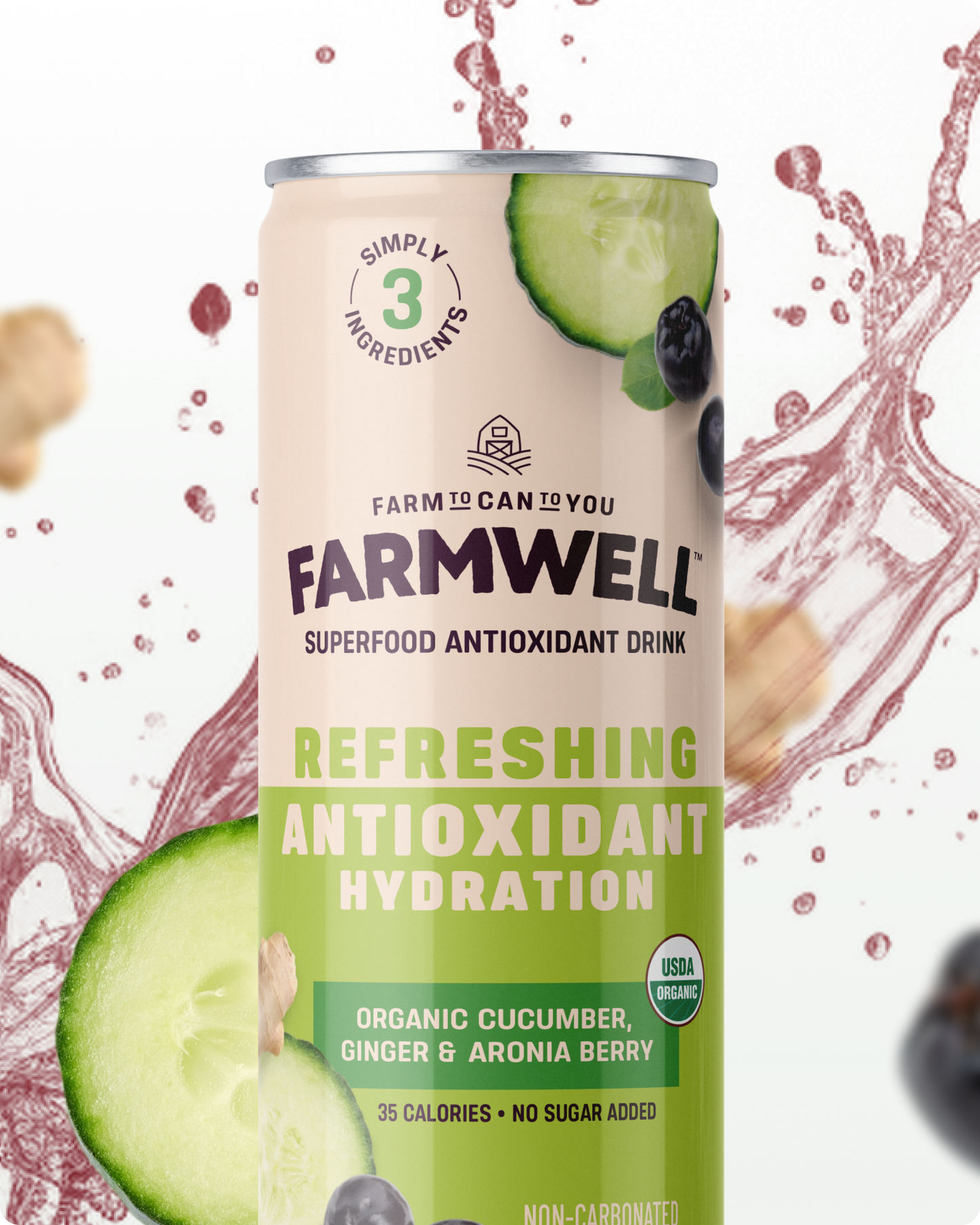 Organic Cucumber, Ginger, and Aronia