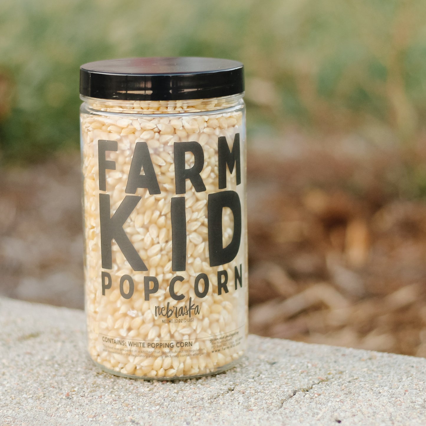 Jar of White Popcorn - 2 lbs