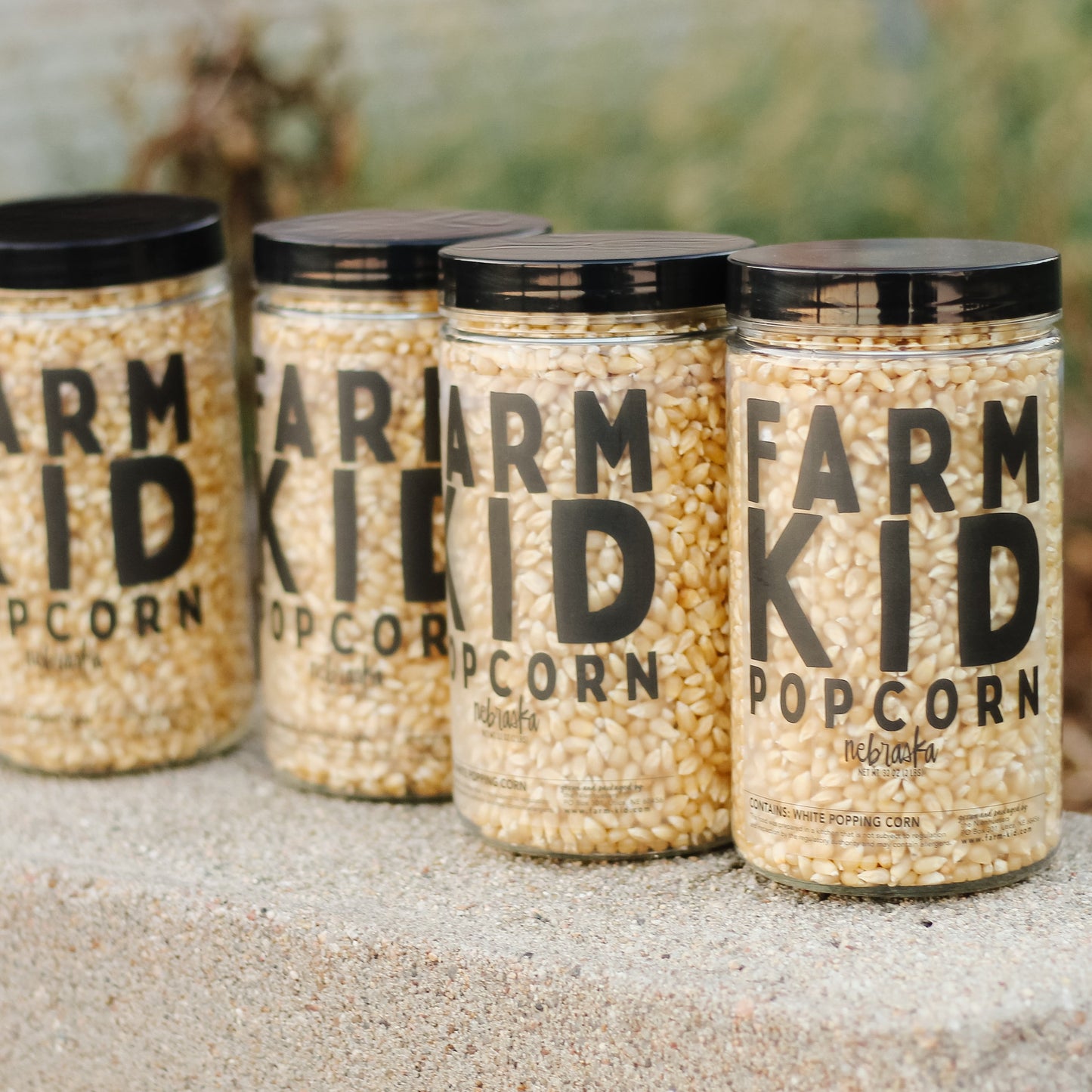 Jar of White Popcorn - 2 lbs