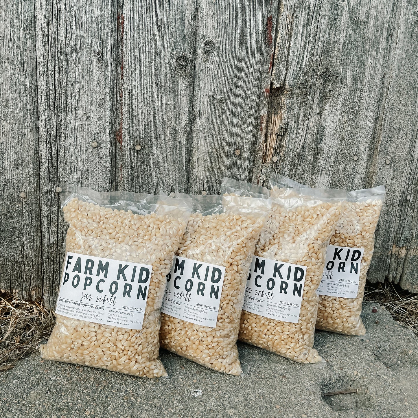 Jar of White Popcorn - 2 lbs