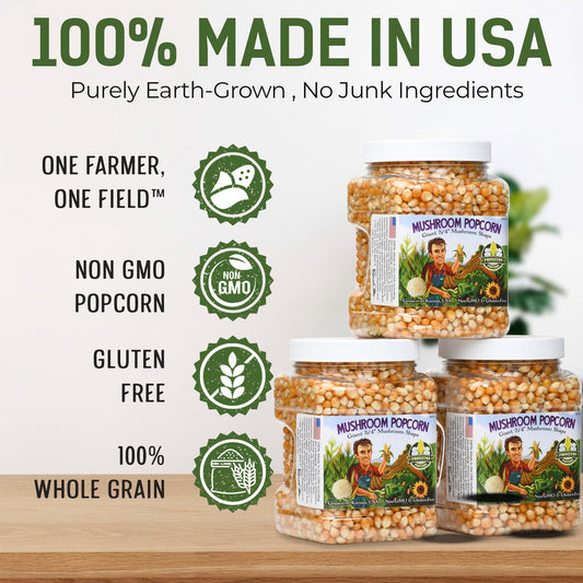 Three Pack Yellow Mushroom Popcorn Kernels – Non-GMO Farmer Direct – Pops Large Round Corn – (3 × 2 lb Tubs)