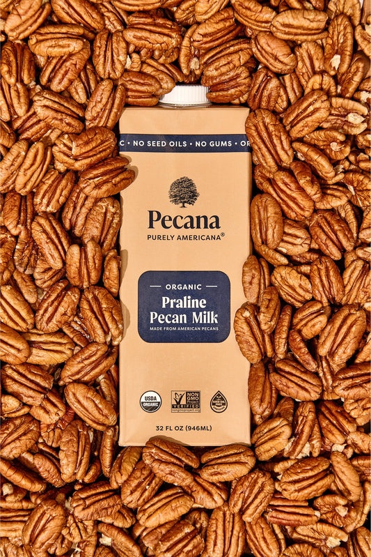 Organic Praline Pecan Milk – Naturally Sweet, Creamy Dairy-Free Nutmilk – (3 Pack)