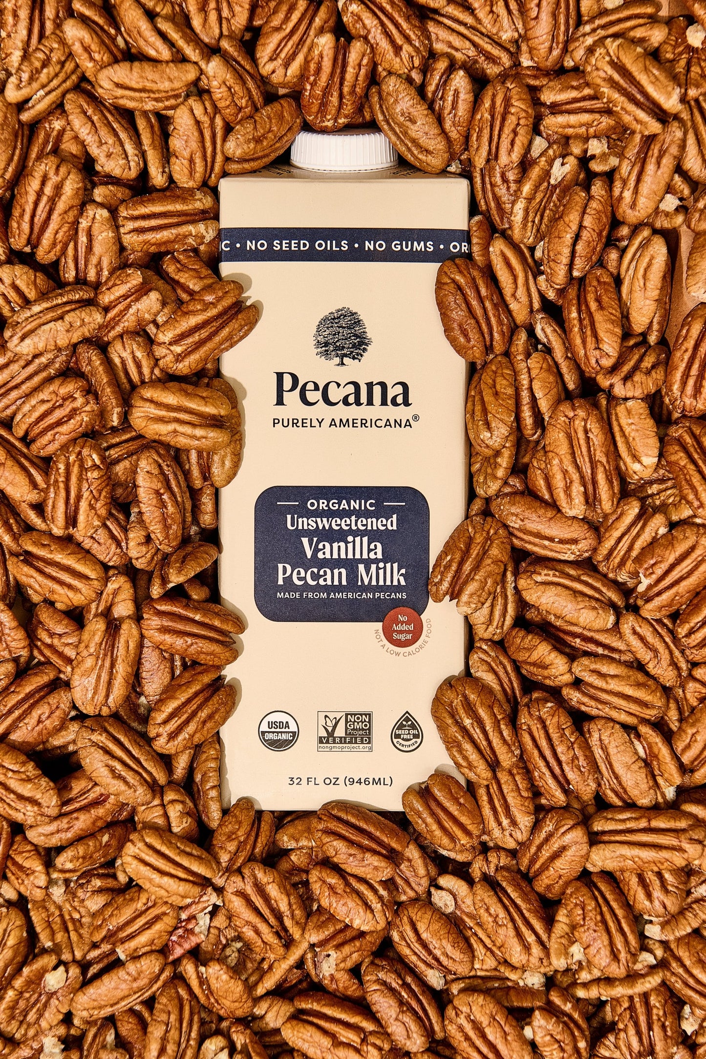 Organic Unsweetened Vanilla Pecan Milk 3 Pack
