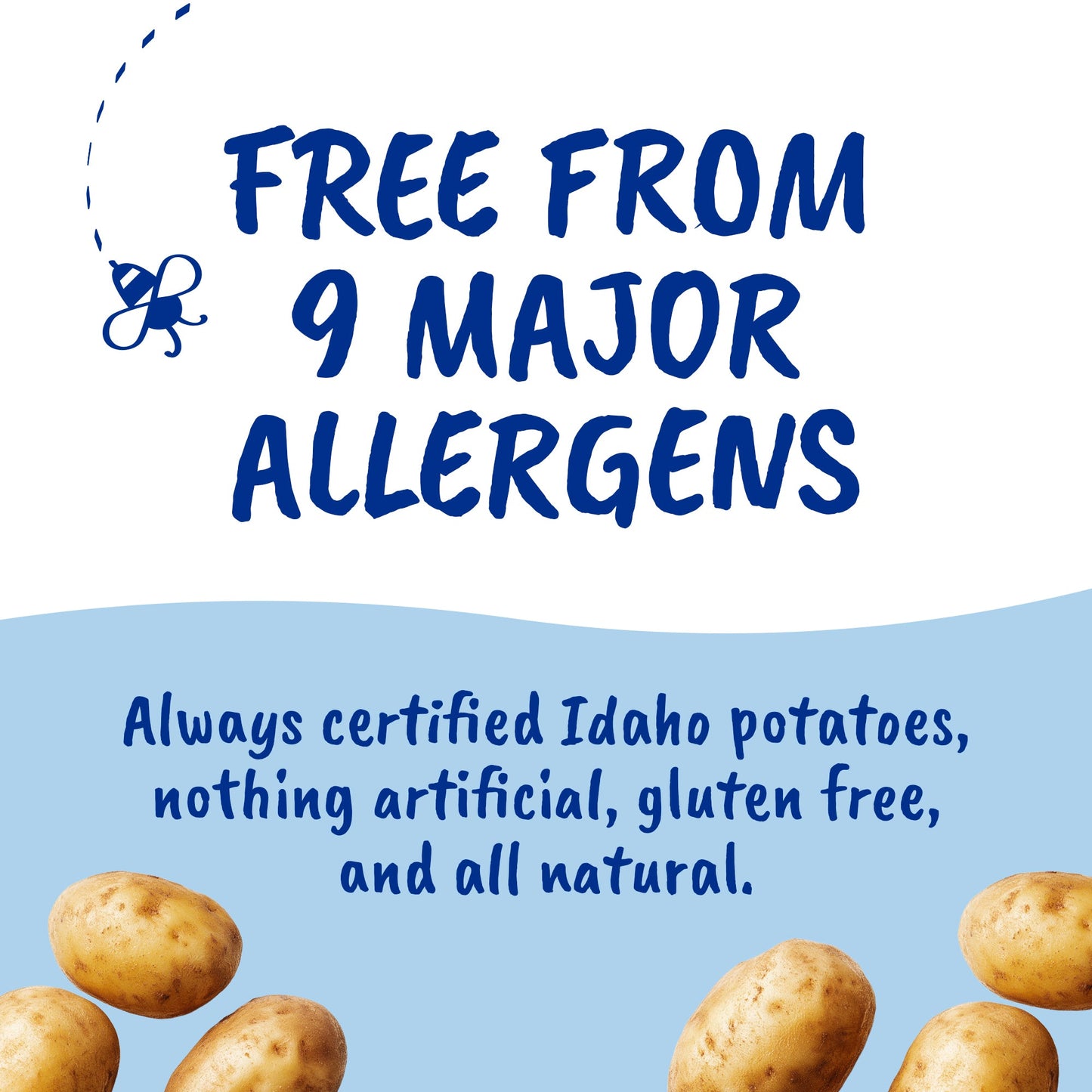 Tallow Sea Salt Kettle Cooked Potato Chips – Rich, Savory Flavor – Regenerative Idaho Potatoes Cooked in 100% Grass-Fed Beef Tallow – (2 x 5 oz Bags)