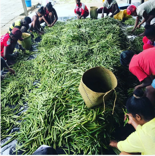 Oatman Farms Vanilla Extract Madagascar Bourbon Pure Vanilla Extract