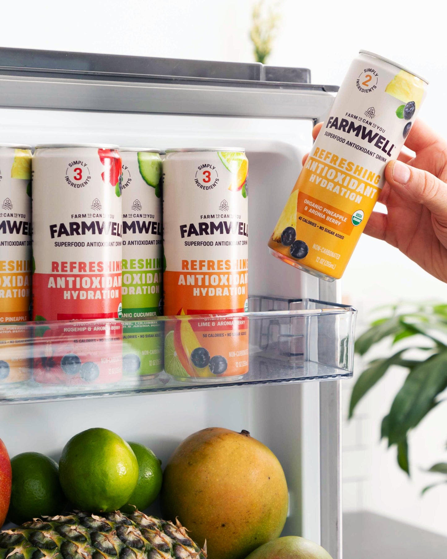 Antioxidant-Rich Drink Variety Pack – Clean, Crisp Flavors for Everyday Hydration – 12 Cans