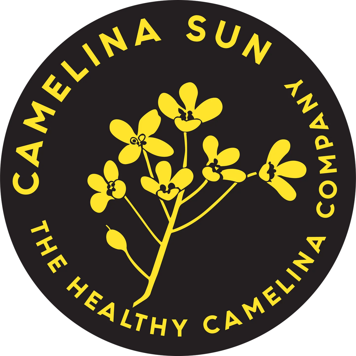 Camelina Sun