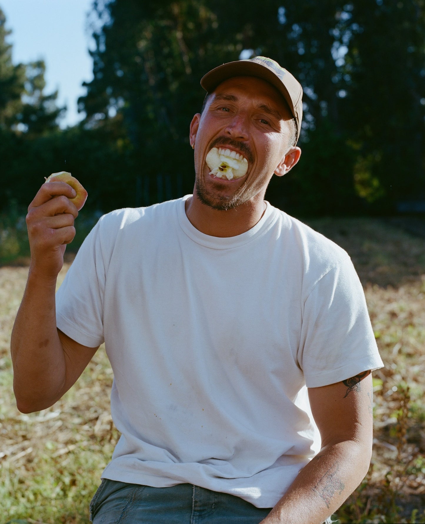 Original Apple Juice (16-pack)