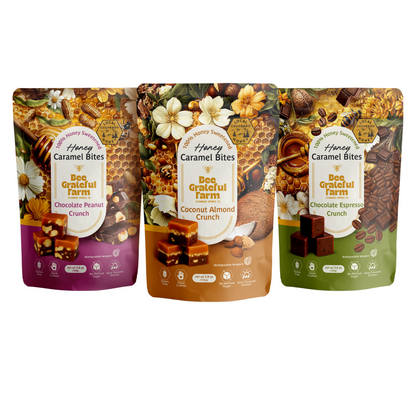 CASE - Honey Caramel Bites (12 units)