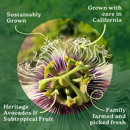 Passion Fruit Box [Exclusive Harvest]