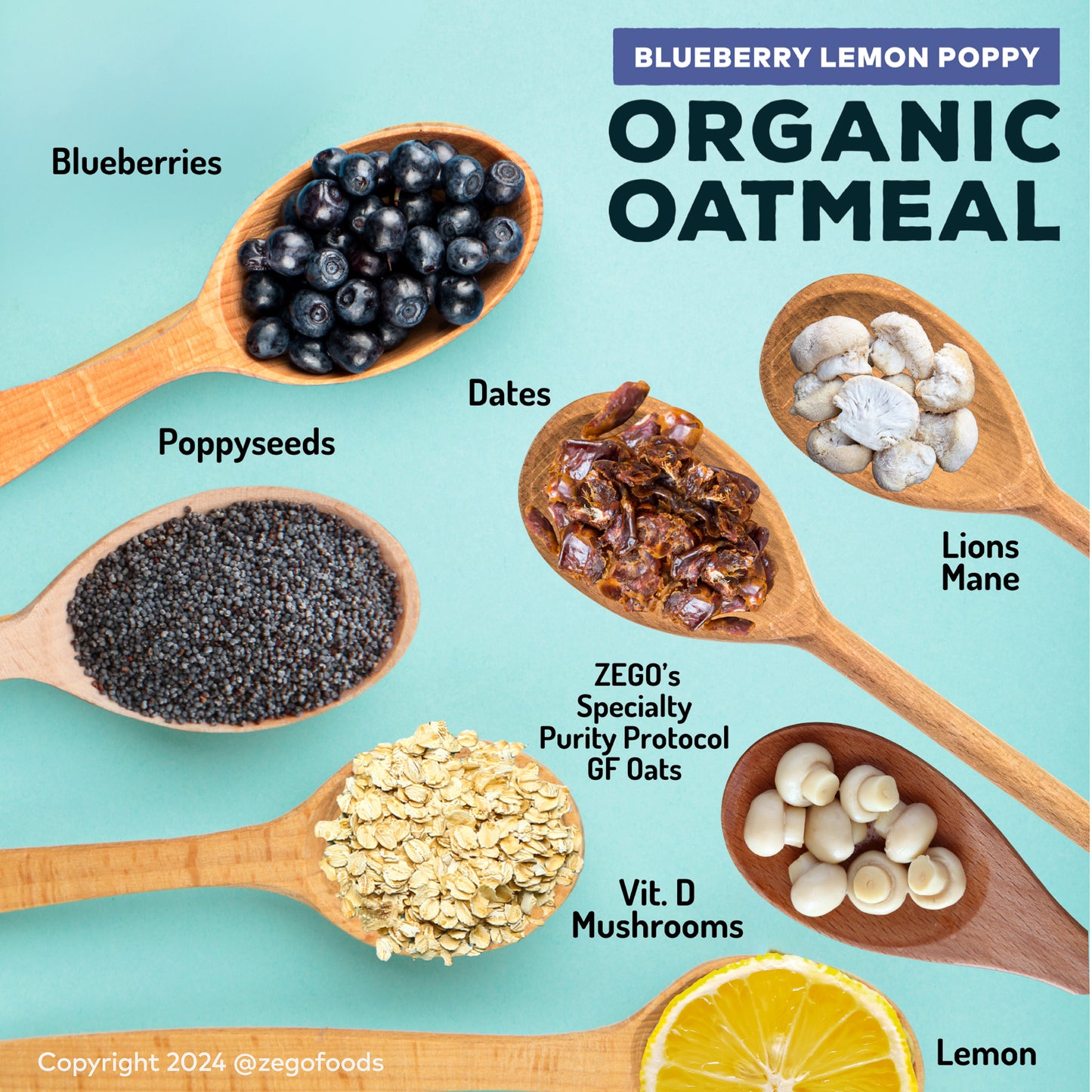 Organic Oatmeal Superfood Blueberry Lemon Poppy 1 Bag