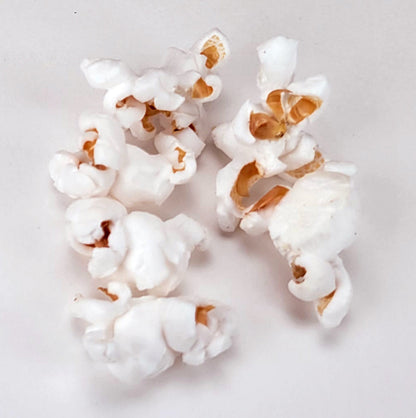 1lb Tub White Butterfly Hulless Popcorn Kernels
