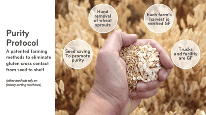 Organic Double Protein Oats 5 bag case