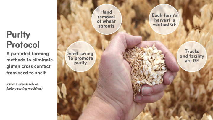 Organic Gluten Free Oats (14oz bag)