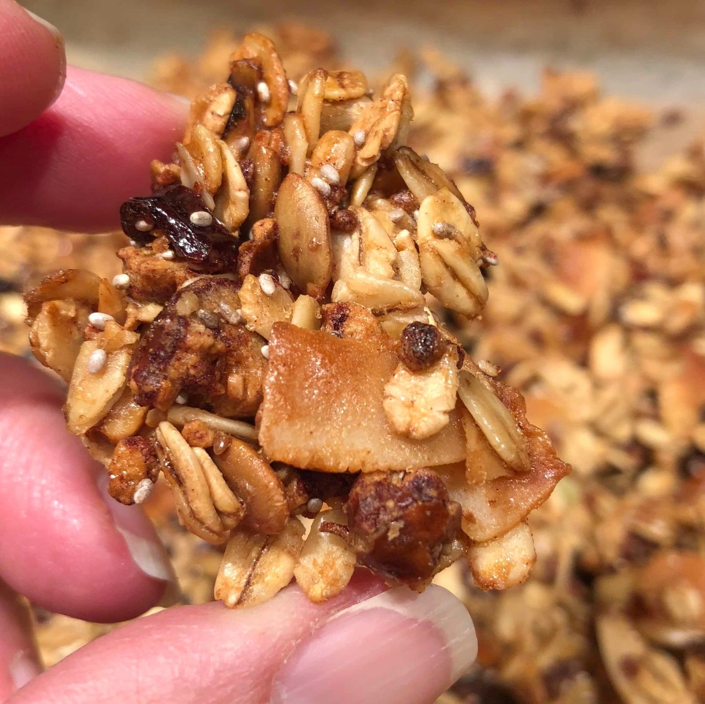 Organic Gluten-Free Muesli: Nut Free Cinnamon Twist (13oz)