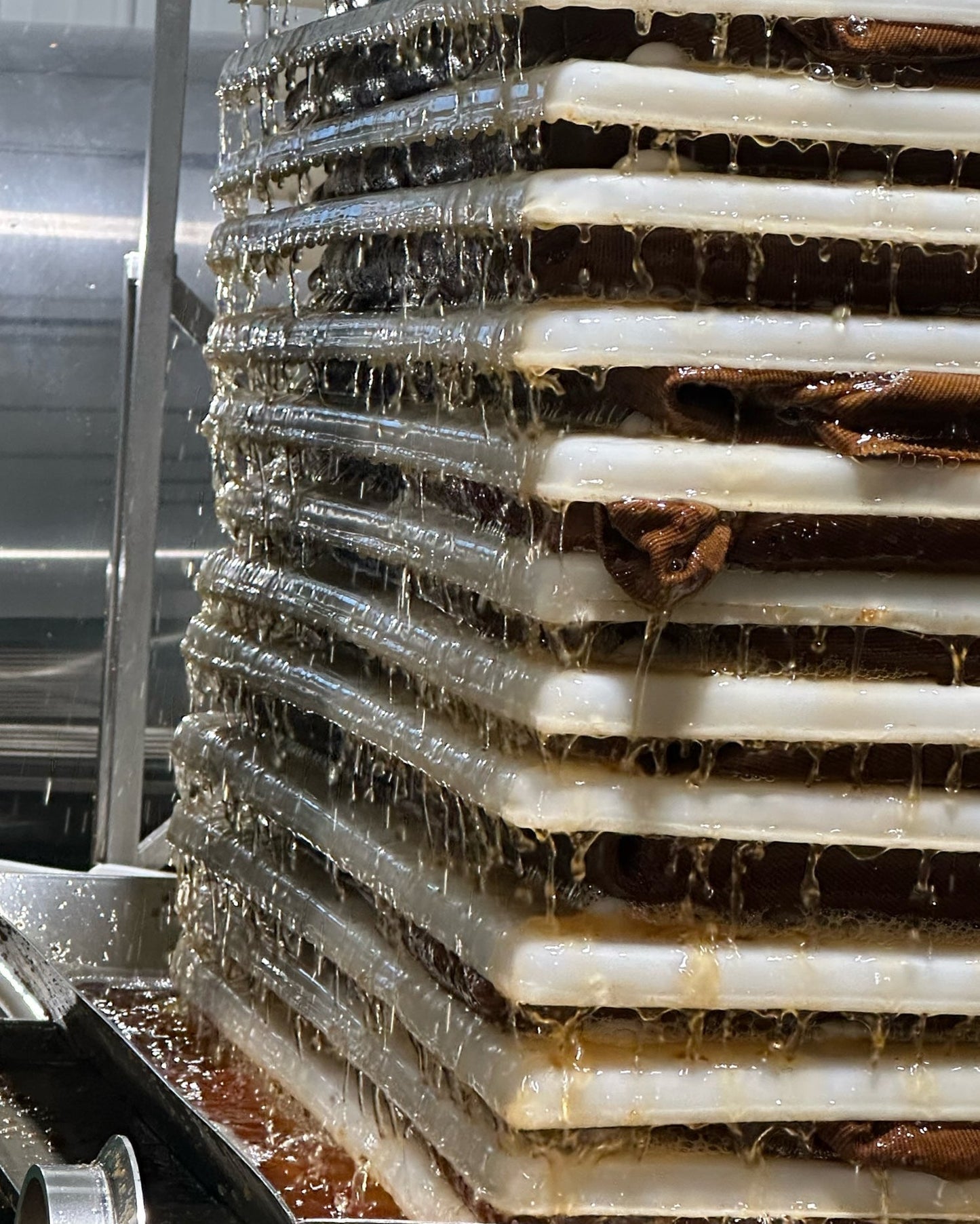 Original Apple Juice (16-pack)