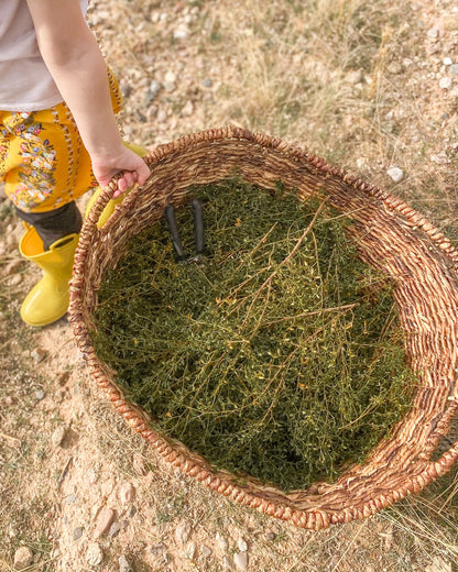 Desert Rain Salve – Herbal Healing Balm with Natural Oils – (Tin)