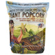 8lb Bag Yellow Mushroom Popcorn Kernels