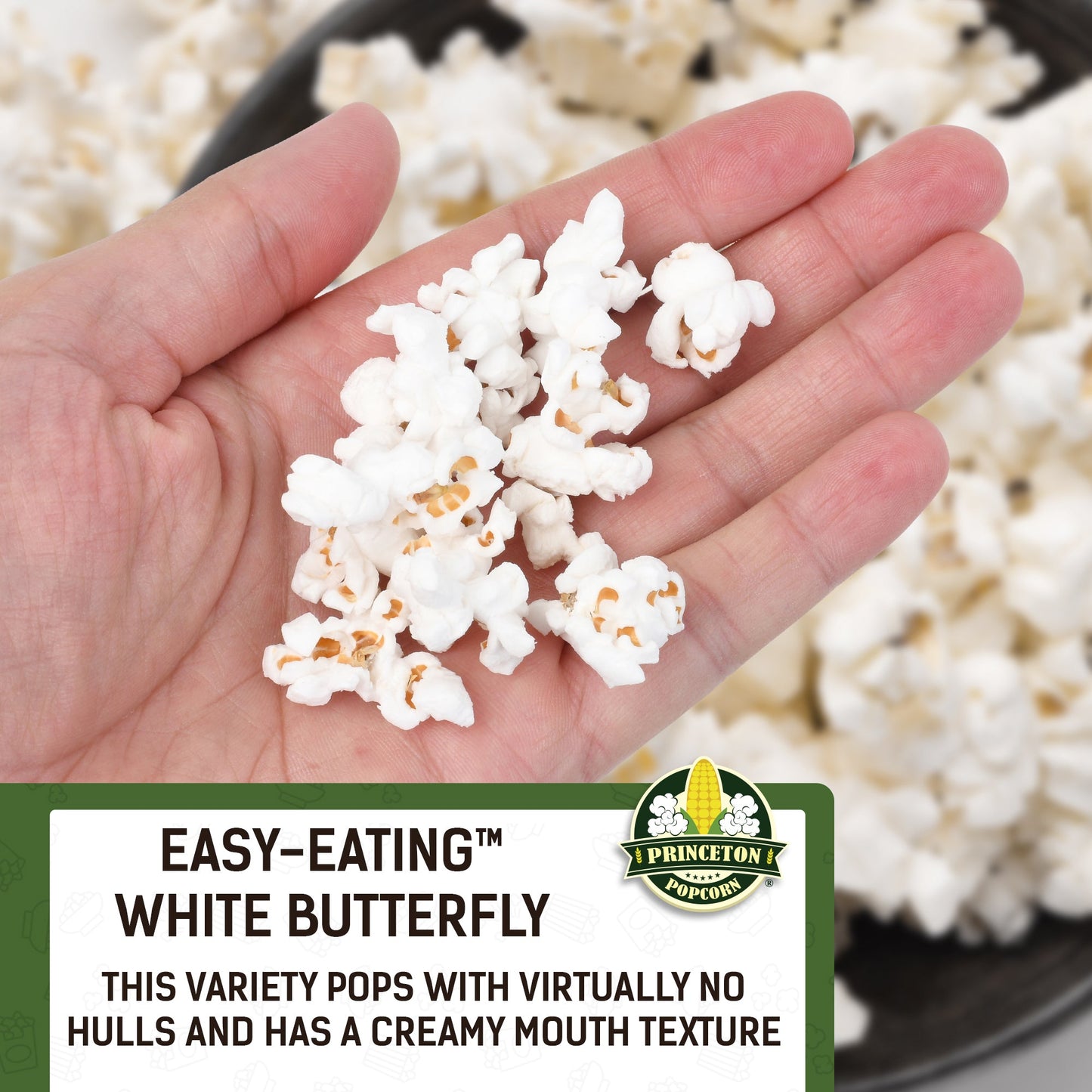 8lb Bag White Butterfly Hulless Popcorn Kernels