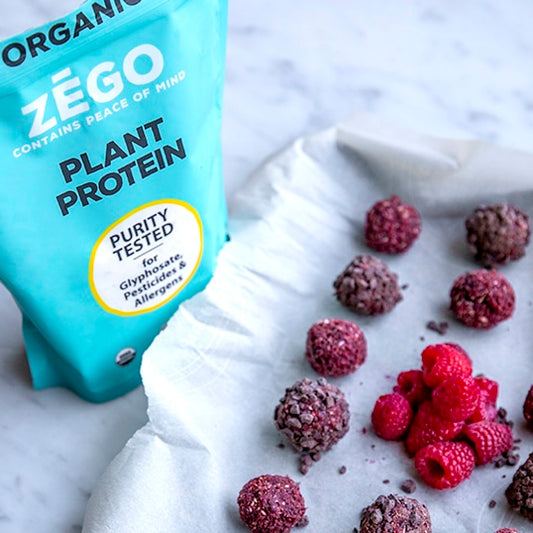 Organic Plant Based Protein Powder (15oz bag)