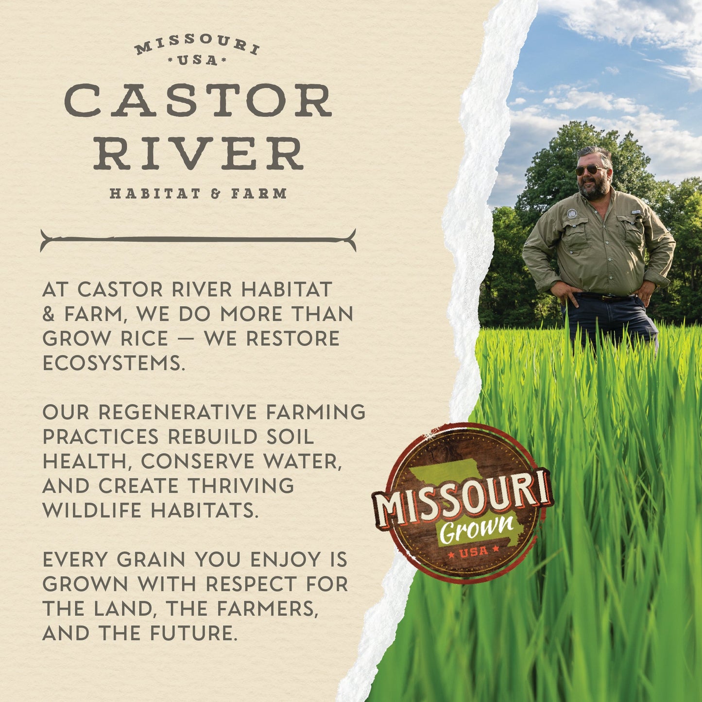 Long Grain Brown Rice (2lb)