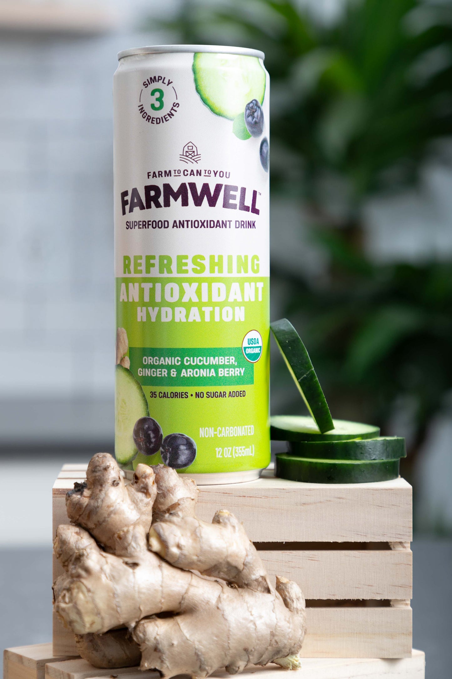 Organic Cucumber, Ginger, and Aronia