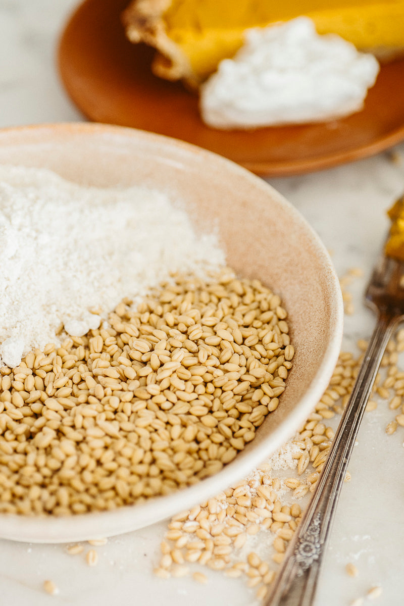 ROC® White Sonora Wheat Berry Collection