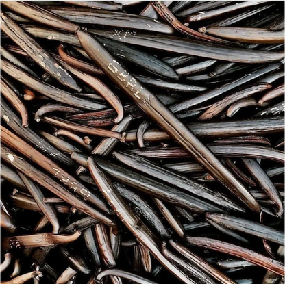Oatman Farms Vanilla Extract Madagascar Bourbon Pure Vanilla Extract