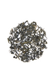 Spring Green - Organic Loose Leaf Green Tea